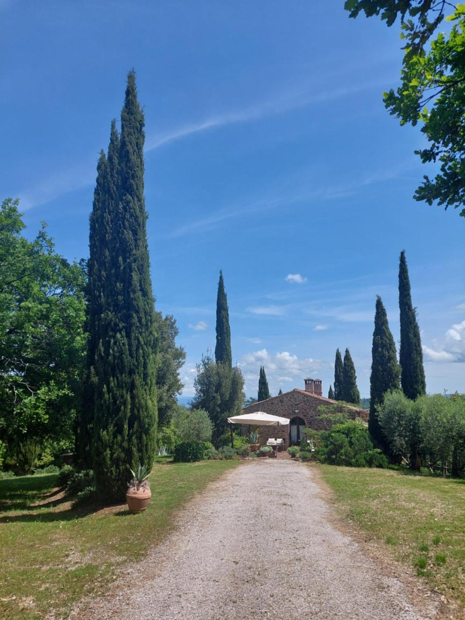 Podere Cerreto 卡索莱代尔萨 外观 照片