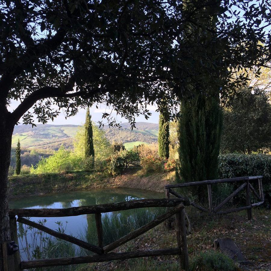 Podere Cerreto 卡索莱代尔萨 外观 照片