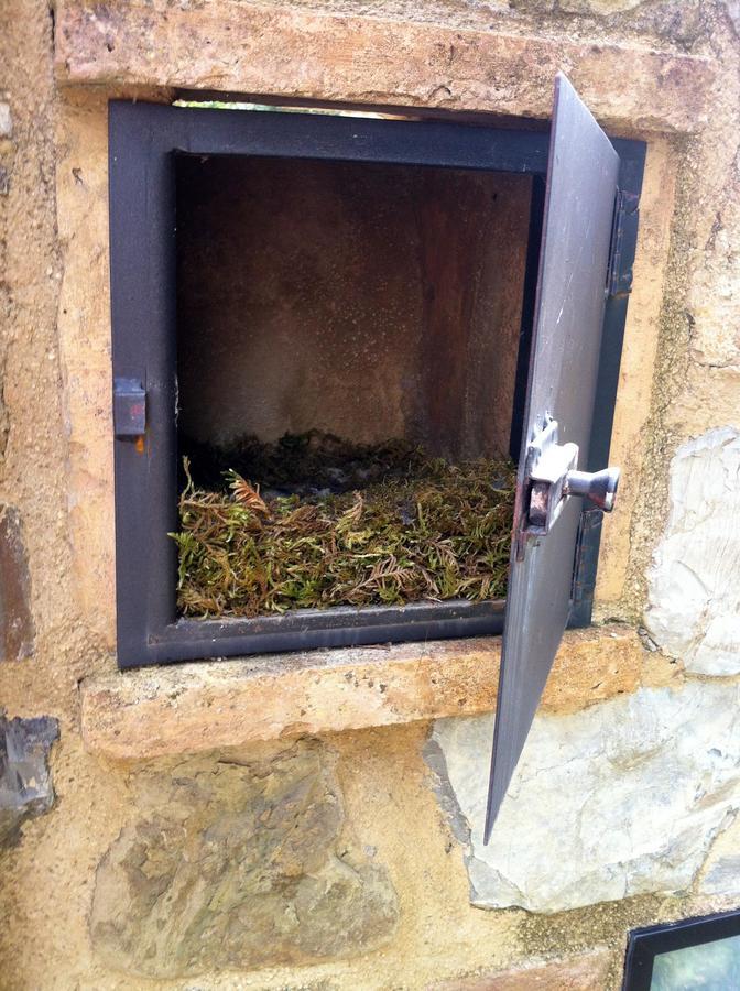 Podere Cerreto 卡索莱代尔萨 外观 照片